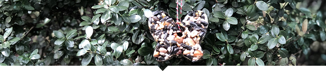 Make Your Own Bird Feeders