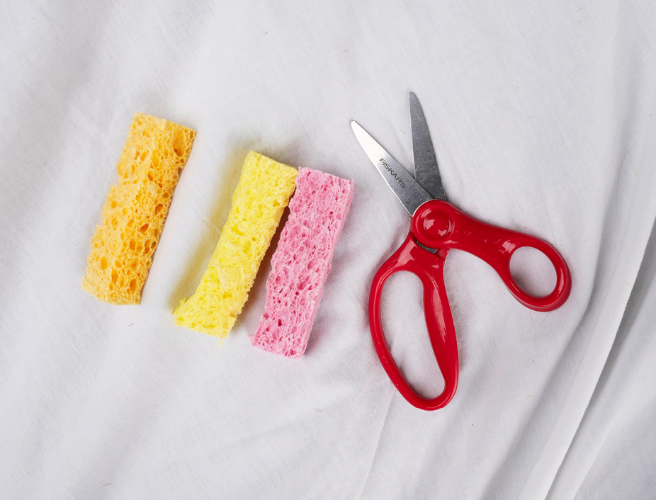 Sponges and scissors